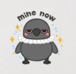 Grumpy Crow: Gimme Everything