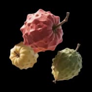 Hoverfruit