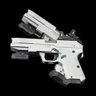 Hunter Firearm (Weapon)