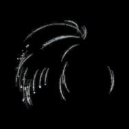 Inky Dewdrops (Headwear)