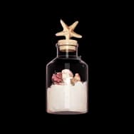 Jar of Seashells (Desk Item)