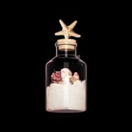 Jar of Seashells