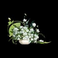 Jasmine Bouquet
