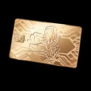 Kahli VIP Gold Card