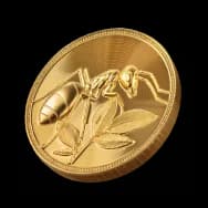 Leafcutter Ant Gold