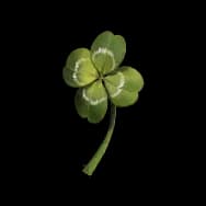 Lucky Leaf (Headwear)