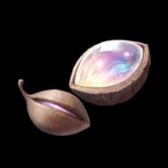 Luxuriant Tree Seed