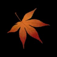 Maple Leaf: Landscape
