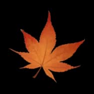 Maple Leaf: Portrait