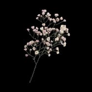 Mellow: Bouquet (Sticker)