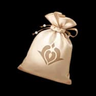 Money Pouch