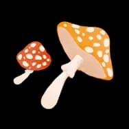 Mushroom Canopy (Sticker)