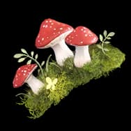 Mushroom Forest