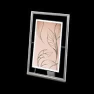 Newleaf Frame: Silver