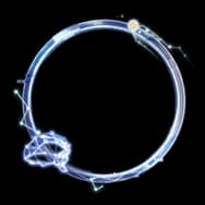 Once in a Lifetime (Avatar Frame)