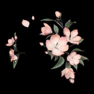Overbloom (Headwear)