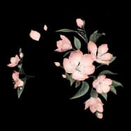 Overbloom