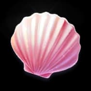 Pink Seashell