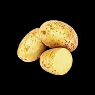 Potato