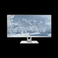Quicksilver Monitor
