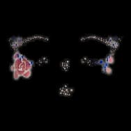 Rosedream Mark (Facial)