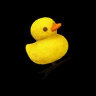 Rubber Duck (Headwear)