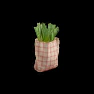 Scallion Bag (Home Item)