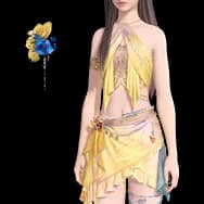 Set: Flutter Echo