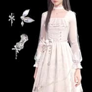 Set: Mist Rose