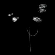 Shadow Light (Earrings)