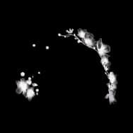 Silk Blossoms (Headwear)