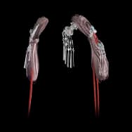 Silver Bell (Headwear)