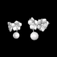 Silver Sparkle (Earrings)