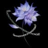 Soulbound Lotus