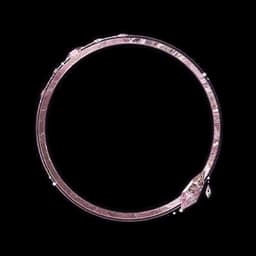 Sparkling Beginnings (Avatar Frame)