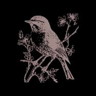 Splendor Stamp I (Stamp)