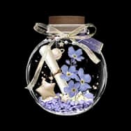 Starlit Shores (Desk Item)