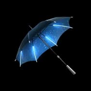 Sturdy Umbrella