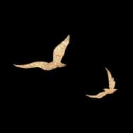 Swallow's Return (Sticker)