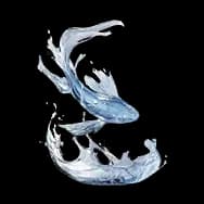 Swimming Fish (Desk Item)