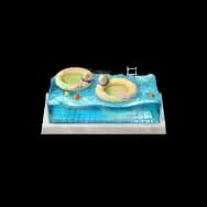Swimming Pool Model