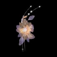 Thawing Bloom