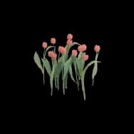 Tulip (Home Item)