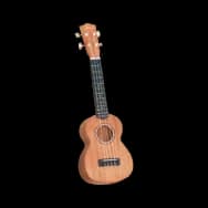 Ukulele