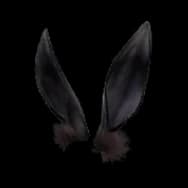 Velvet Bunny