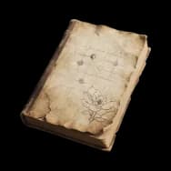 Weiqi Manual