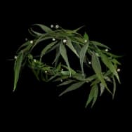 Willow Verses (Headwear)