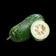Winter Melon