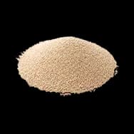 Yeast