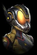 Wasp